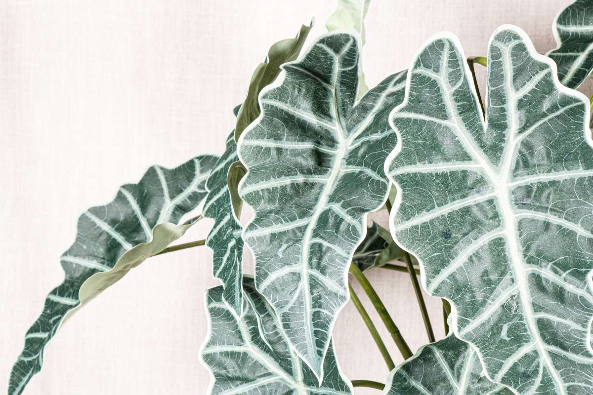 PTMD Alocasie Kunsttak - 119 x 34 x 118 cm  - Kunststof - Groen