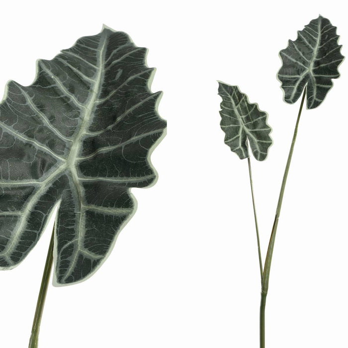 PTMD Alocasie Kunsttak - 119 x 34 x 118 cm  - Kunststof - Groen