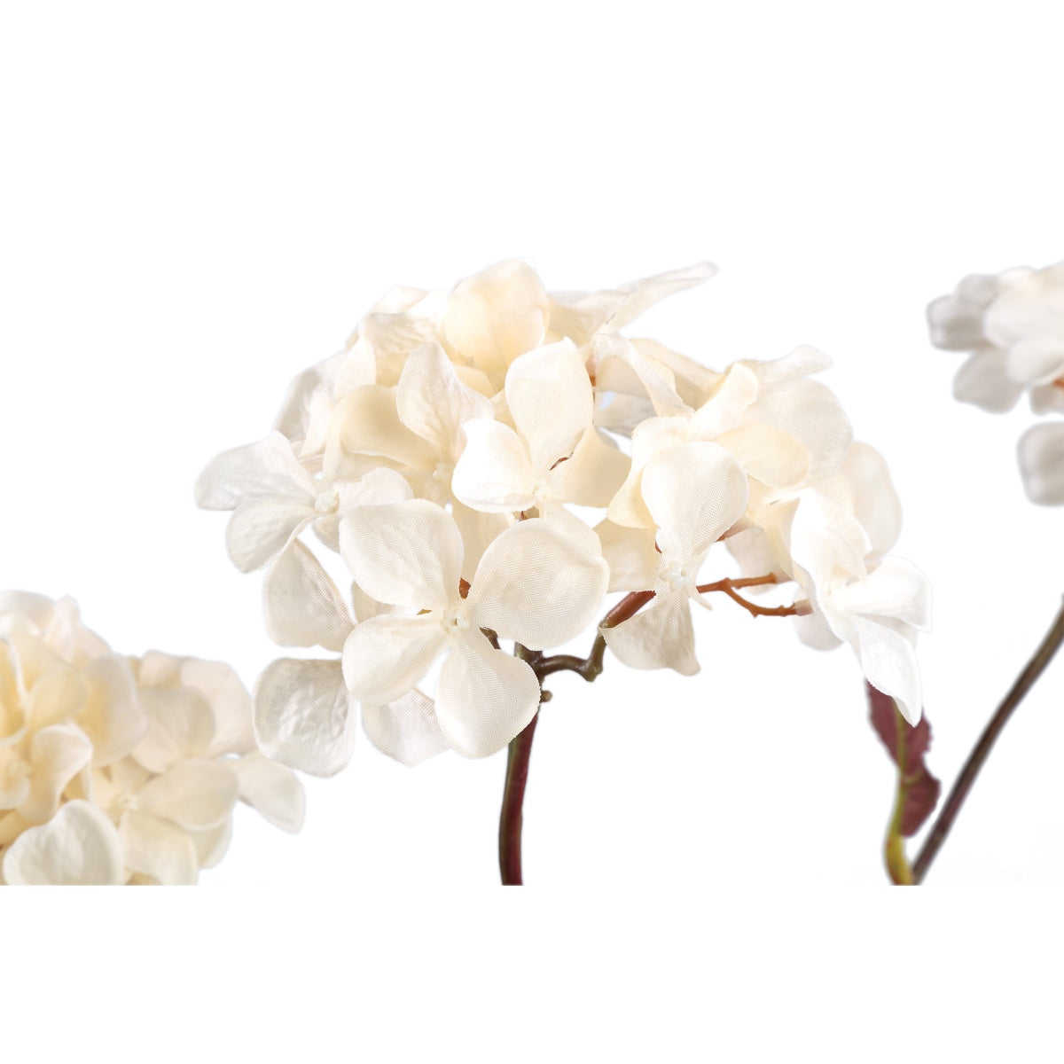 PTMD Gedroogde Hortensia Droogbloem - 43x23x77 cm  - Kunststof - Créme