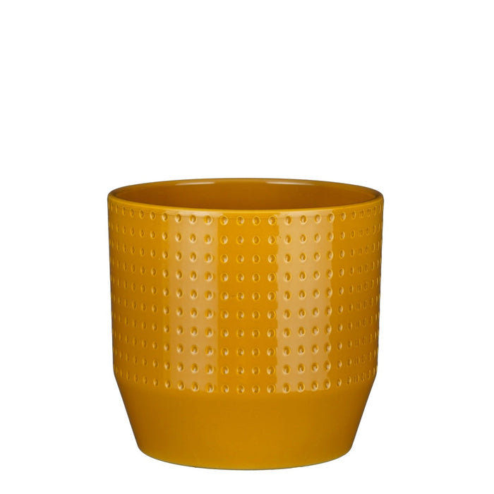 e6b08db3-9409-42c2-a00e-6d56dd49b407-vrijstaandbeeld.jpg (6906509) 