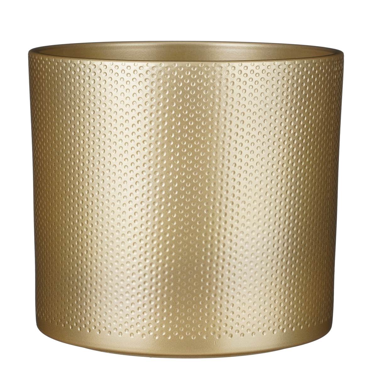 1cc87d9f-219c-4e54-a2c6-fee5d3d454a1-vrijstaandbeeld.jpg (6906956) 