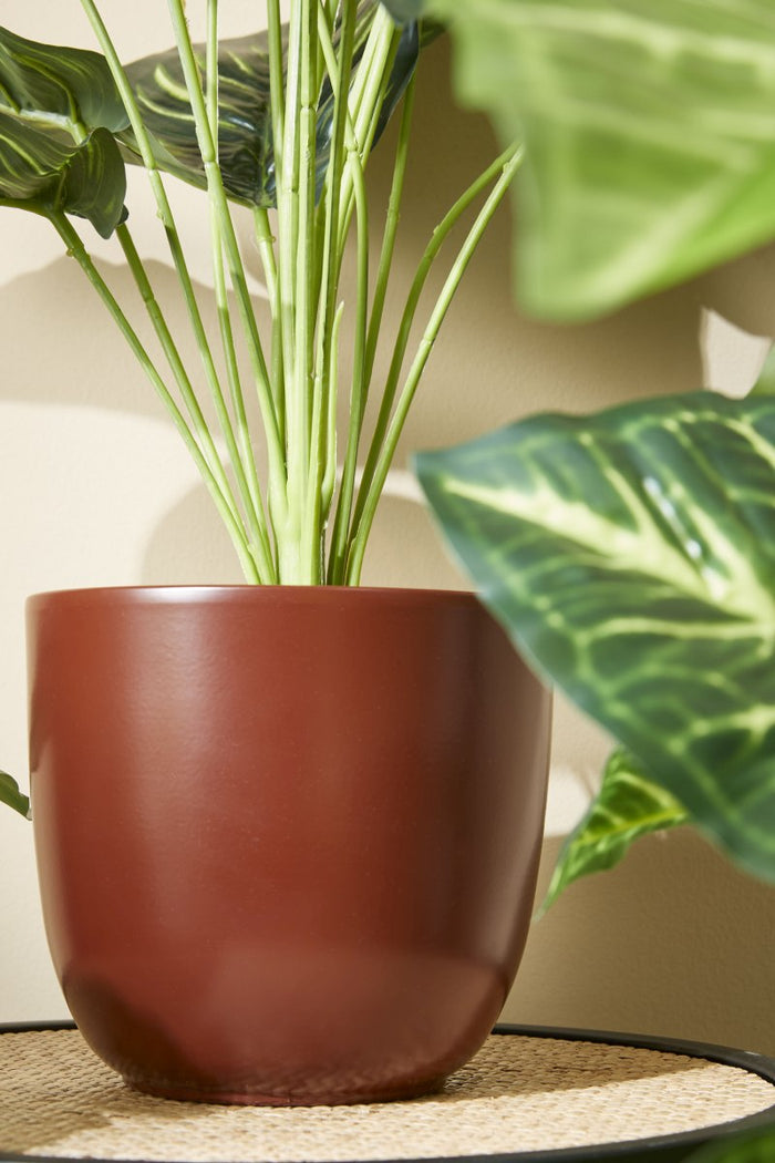 28761dc5-633a-4015-83c7-71c14994ac34-afbeelding5.jpg (6908324) 