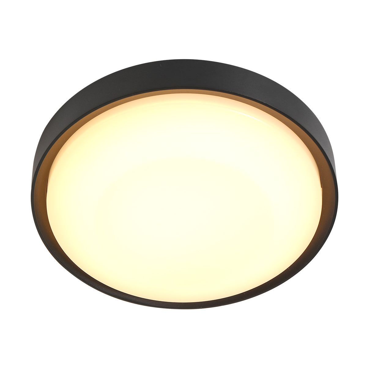 Steinhauer Fuga Wandlamp Zwart