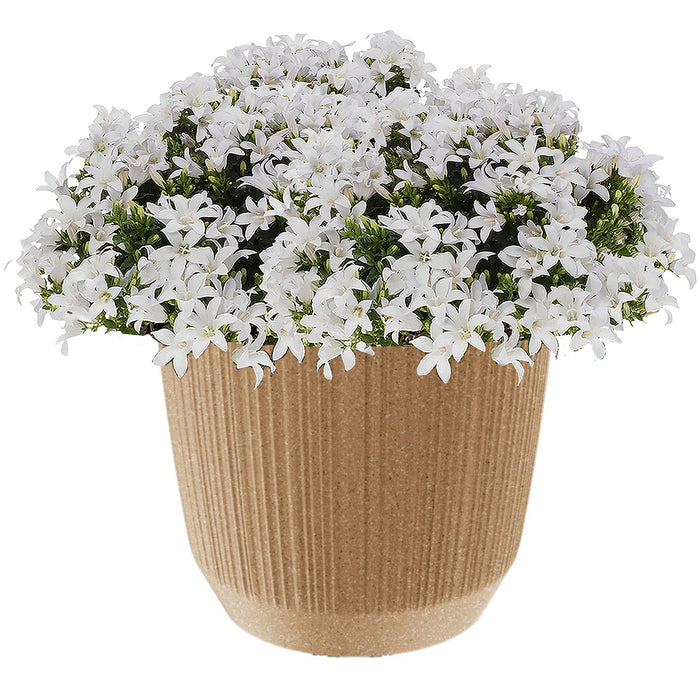 Prosperplast Plantenpot - stripe - beige - D13xH11 cm