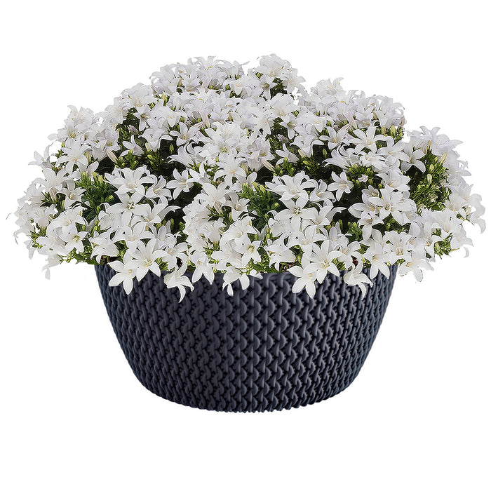 Prosperplast plantenpot|bloempot - kunststof - antraciet - D24 x H12 c