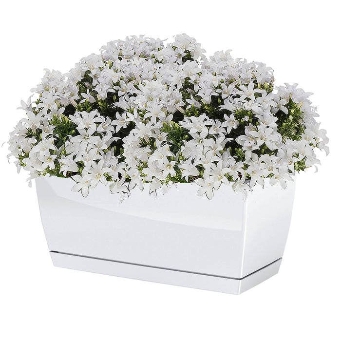 Prosperplast plantenpot - kunststof - parel wit - 24 x 12 x 11 cm