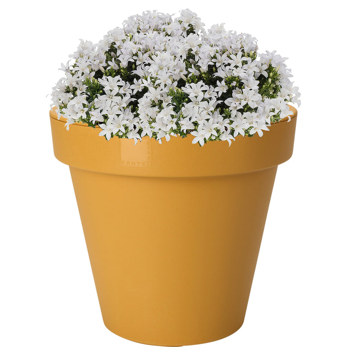 Pro Garden Plantenpot|bloempot - Tuin - kunststof - okergeel - D40 cm