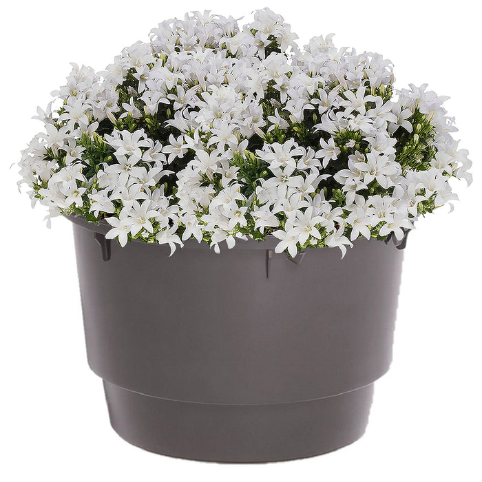 Prosperplast Kunststof binnenpot - 11 liter - 32,5 x 20,5 cm