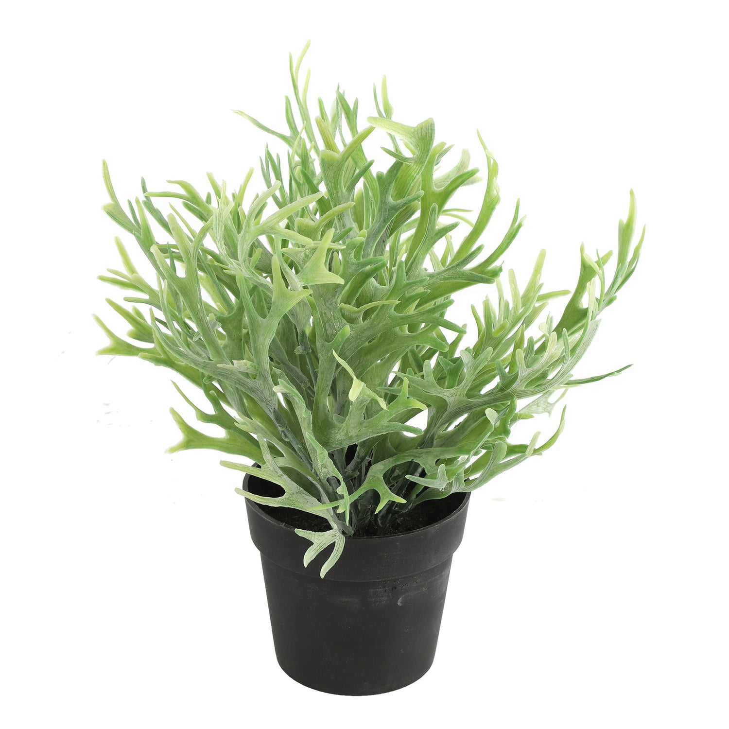 Countryfield Kunstplant Platycerium in bloempot - Groen - 20 x 24 cm