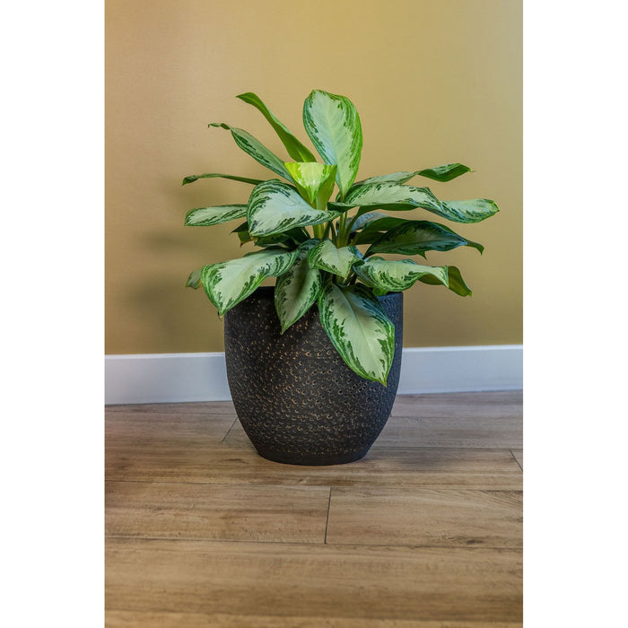 Ter Steege Plantenpot|Bloempot Lava Stone - zwart - D29 x H26 cm