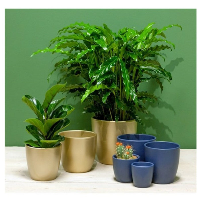 8b2b207f-18d8-48f4-a46f-1dfa27fcc00f-sfeerbeeld.jpg (6970240) 