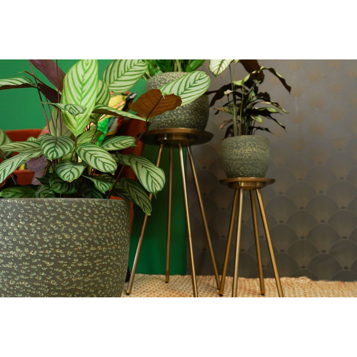 4a21a6ba-c8b4-4794-b942-f9badfff2817-afbeelding3.jpg (6970485) 