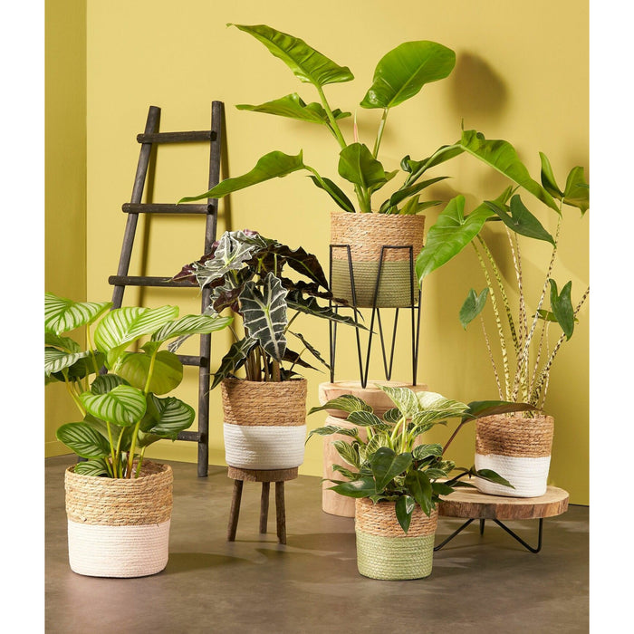 c9275d10-58c8-4c81-a830-393ef489a96a-afbeelding3.jpg (6979620) 