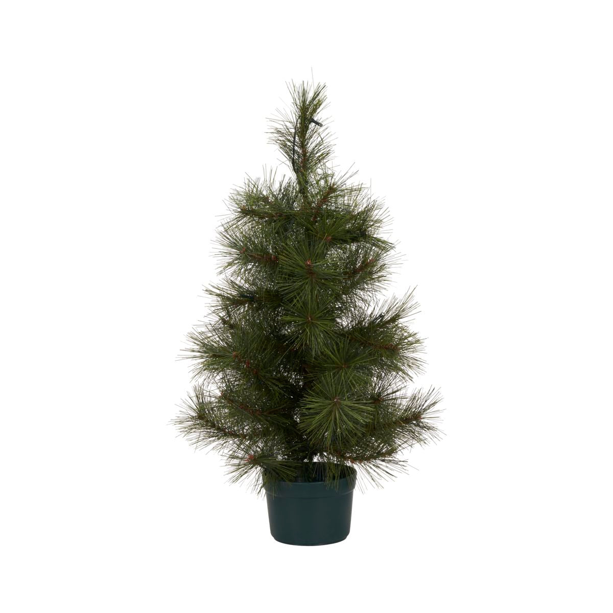 House Doctor Kerstboom, Pinus (60 centimeter)