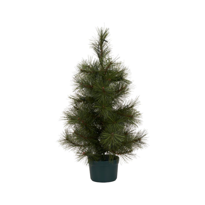 House Doctor Kerstboom, Pinus (60 centimeter)