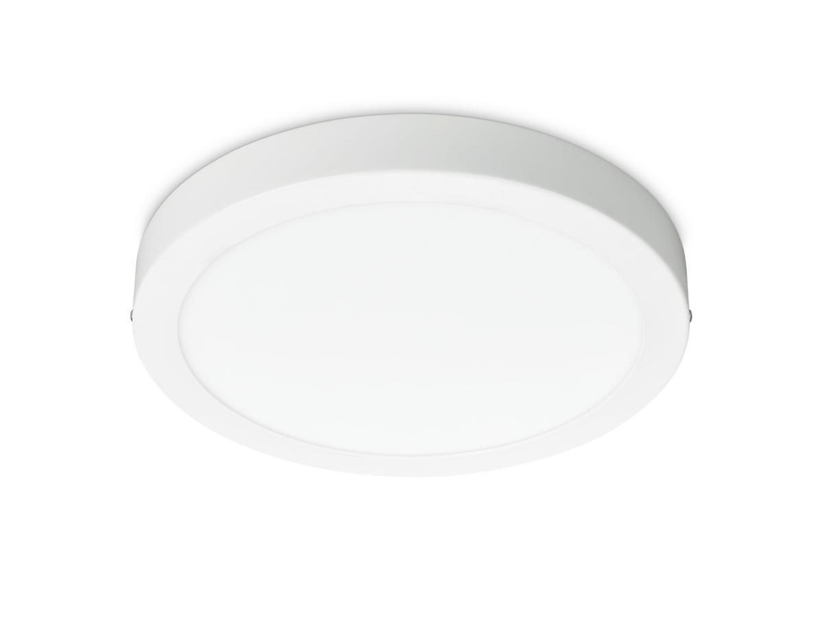 0f0d2649-4fe0-44b3-9201-41aa5f7eeea6-vrijstaandbeeld.jpg (7013568) 