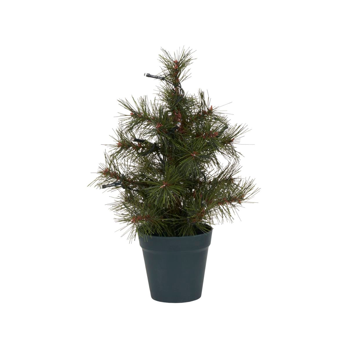 House Doctor Kerstboom, Pinus