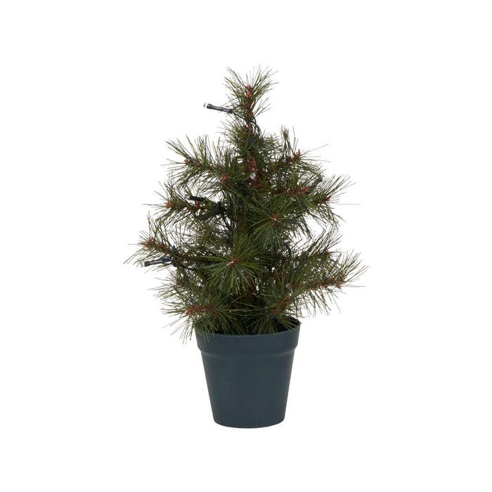 House Doctor Kerstboom, Pinus