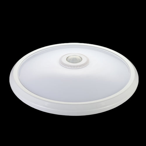 1f6db2e4-6d03-4fa7-bd05-0736efaa8f9f-vrijstaandbeeld.jpg (7023904) 