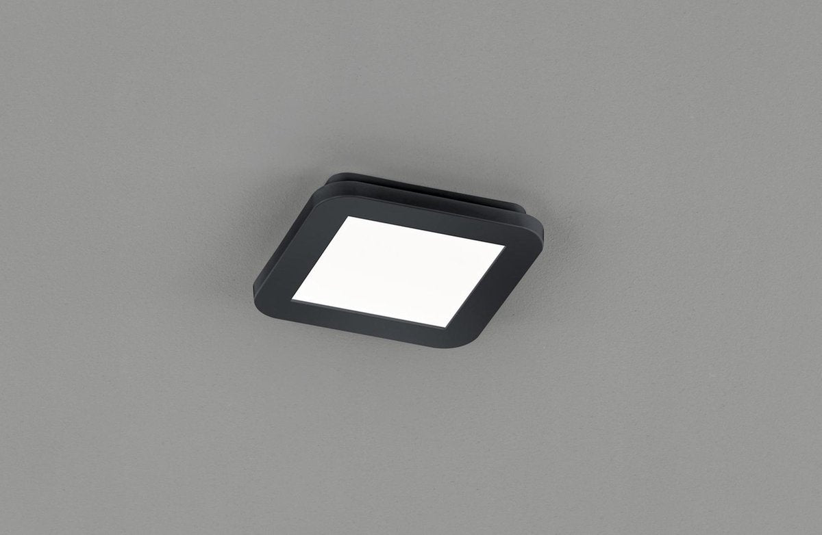 Reality Camillus Plafondlamp 1X SMD LED 9W IP44 Mat Zwart