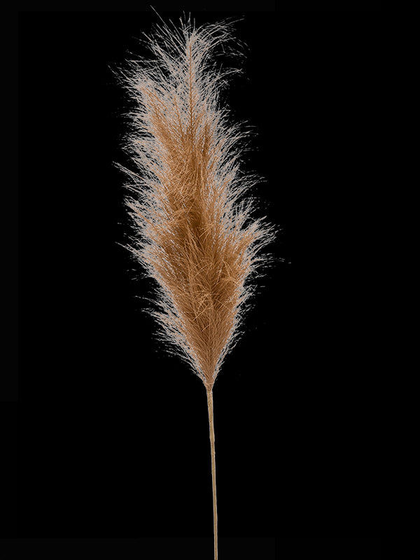 9efdb3e2-b21d-4c52-aa66-4f5db2ee17d3-vrijstaandbeeld.jpg (7028754) 