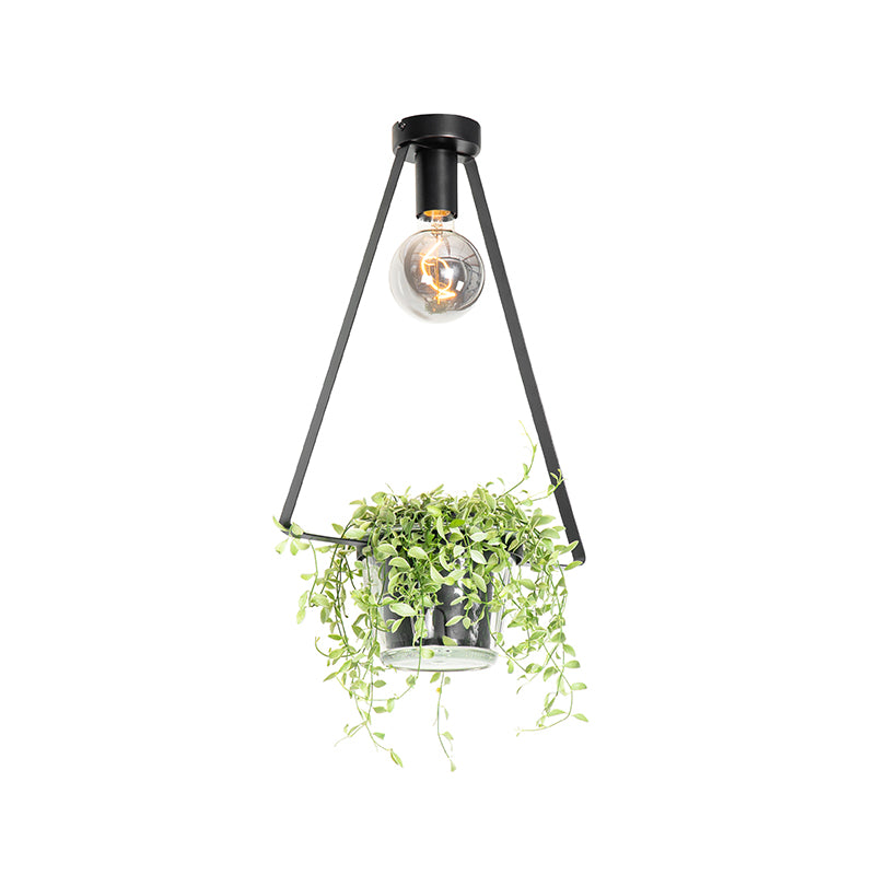 QAZQA Plafondlamp roslini - Zwart - Modern - L 35cm
