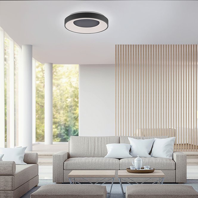 Paul Neuhaus Plafondlamp Anika Zwart 48cm Ø incl. Afstandsbediening