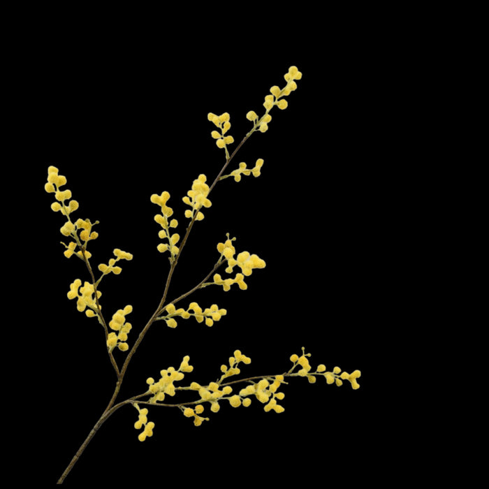 6b89d989-6ae8-4182-ad4f-43cef199300f-vrijstaandbeeld.jpg (7101242) 