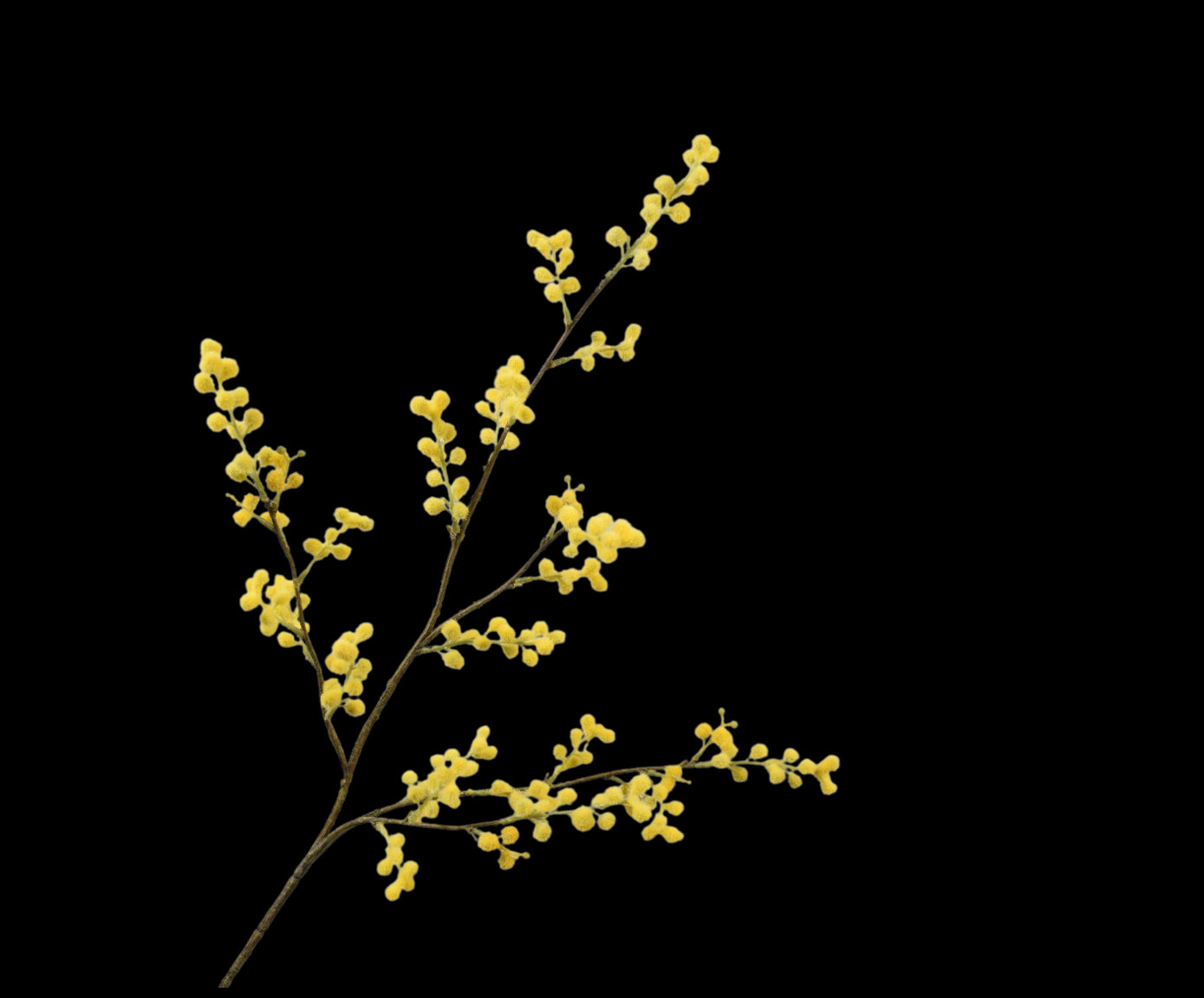 6b89d989-6ae8-4182-ad4f-43cef199300f-vrijstaandbeeld.jpg (7101242) 