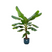 Bananenplant (Musa) + elho Vibes Fold Round blauw Ø30 - 180cm