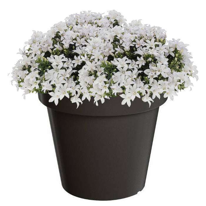 Bloempot|plantenpot - D58 x H52 cm - antraciet - kunststof