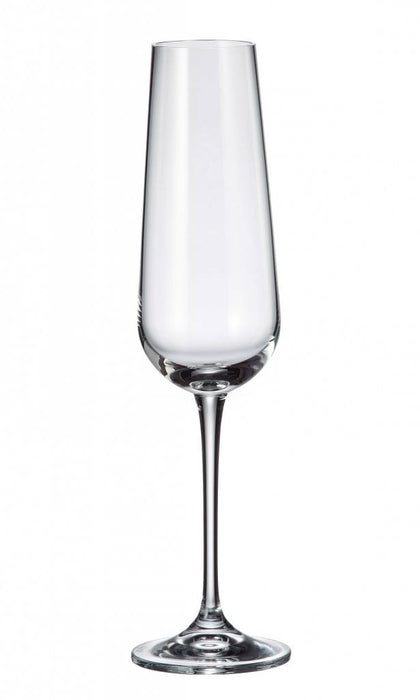 Crystalite Amundsen champagneglazen 220ml