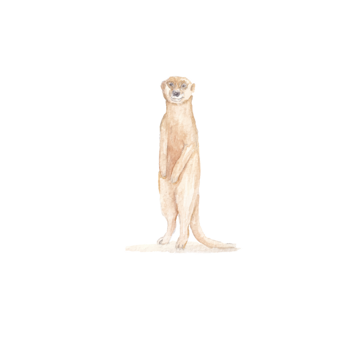 Muursticker stokstaartje