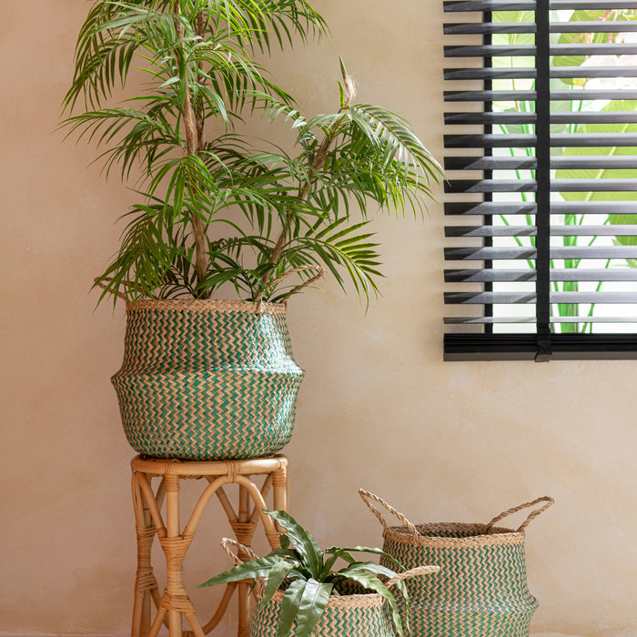 8058744f-f5b7-47d4-bbdf-7244790e1e5f-afbeelding4.jpg (7228173) 