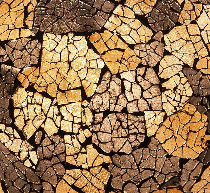 23ed2630-7a3b-4afd-a6c1-c16cabc5ccb3-afbeelding6.jpg (7230220) 