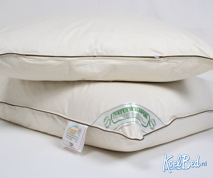 NachtrustOnline - Kapok Kussen- 60x70cm