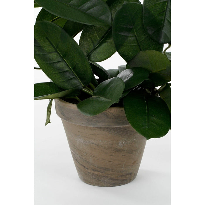 Mica Decorations Stephanotis Kunstplant - H50 x Ø40 cm - Wit