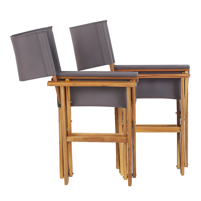 Beliani-CINE -Tuinstoel set van 2-Lichthout|Grijs|Blad-Polyester