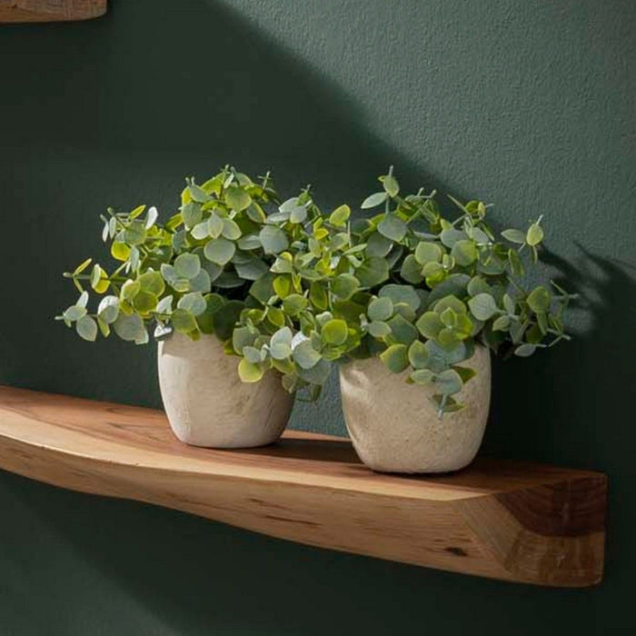 ba7a2d92-4d6c-426e-9882-158af0791e1c-afbeelding6.jpg (7296465) 