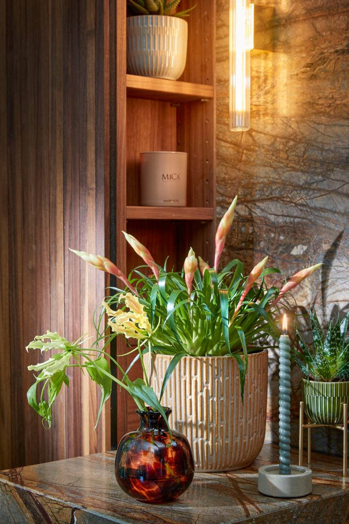 b0ce109b-b518-4dec-a5c5-eccd33329ea1-afbeelding4.jpg (7298540) 