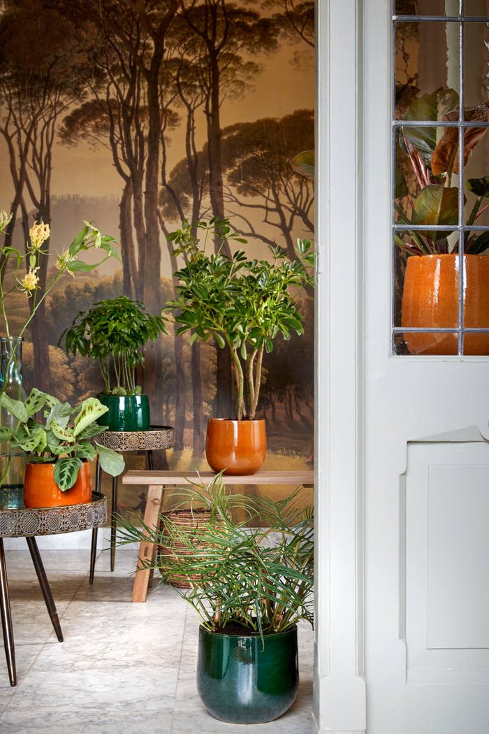 d7011c79-7972-4139-a69f-0944d781425e-afbeelding5.jpg (7298603) 