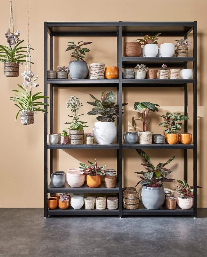 09b97d53-453c-4893-8448-41631e2a4bc4-afbeelding6.jpg (7298695) 