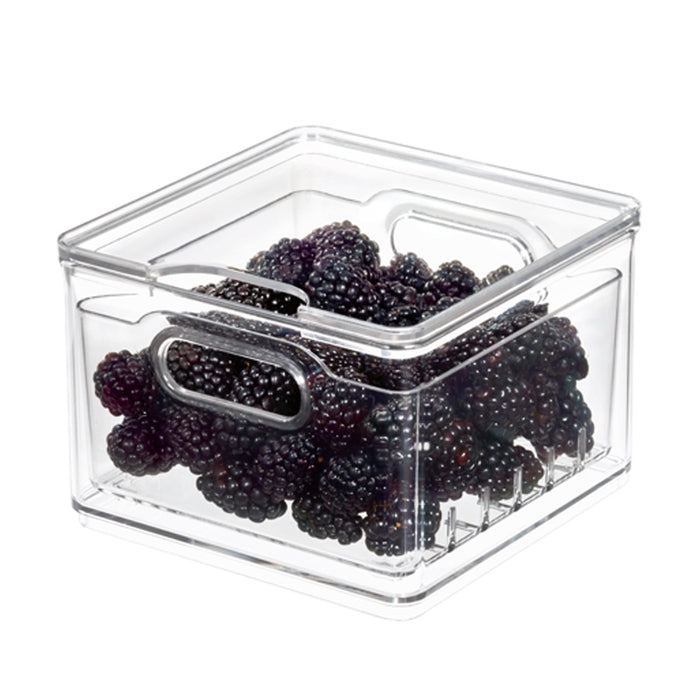 Opbergbox voor Fruit, Klein, 15.2 x 15.2 x 10.7 cm, Kunststof – iDesig