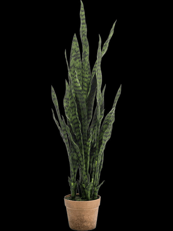 ef036265-4be2-4d15-8185-15c3927a105f-afbeelding3.jpg (7351945) 