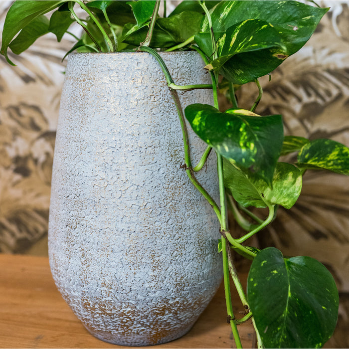 0cb31f51-8c5e-4c96-b355-637ffefe12de-sfeerbeeld.jpg (7360065) 