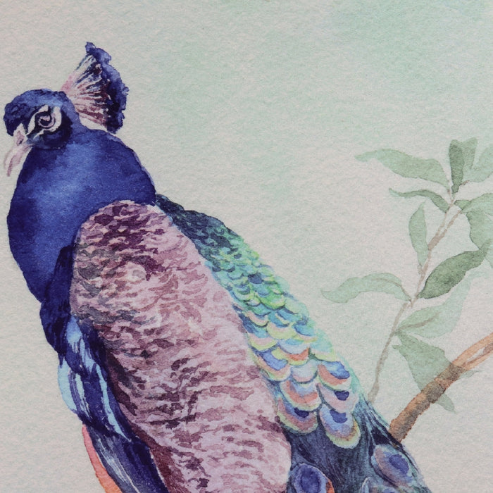 d53513de-36f4-45b6-88da-3bc2806ef0e6-afbeelding6.jpg (7393672) 