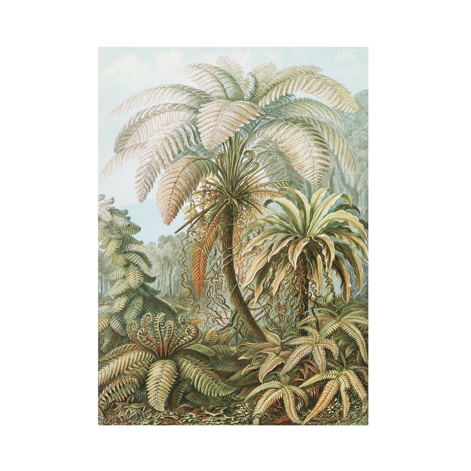 Art for the Home Fotobehang - Jungle Filicinae - 280x200cm
