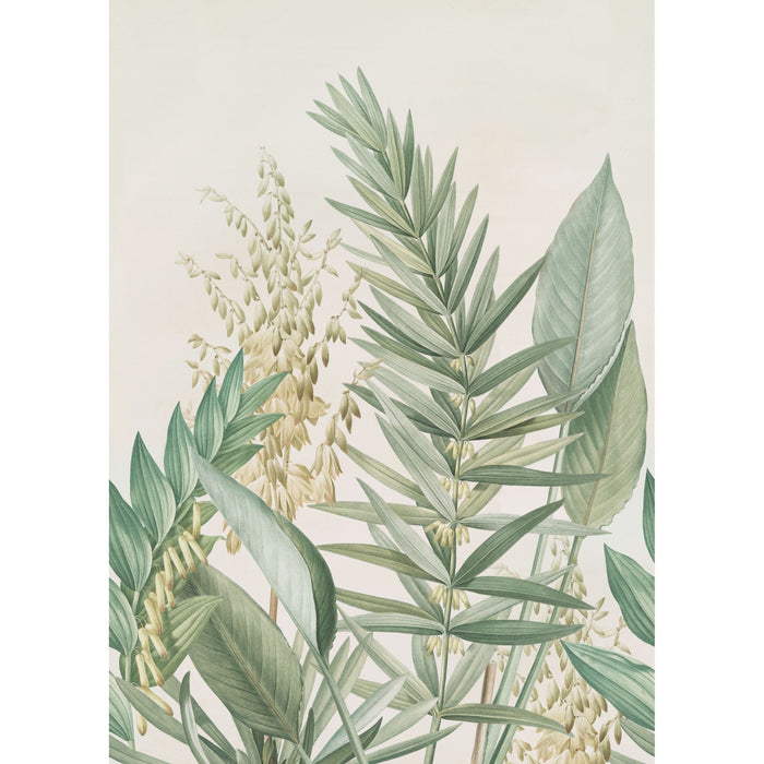 Art for the Home Fotobehang - Palmlelie - 280x200cm