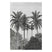 Art for the Home - Fotobehang - Palm Deco - Grijs|Zwart - 300x200 cm