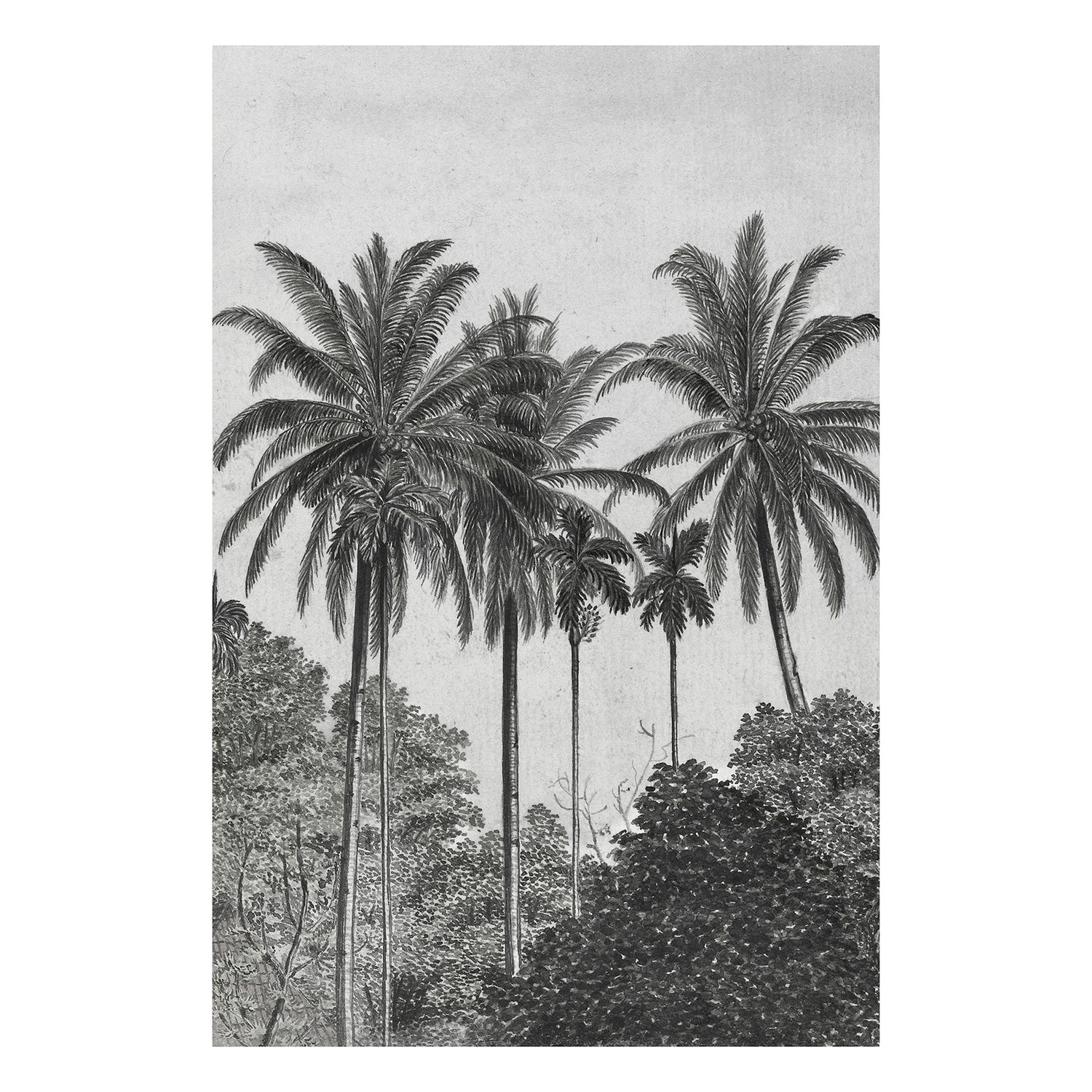 Art for the Home - Fotobehang - Palm Deco - Grijs|Zwart - 300x200 cm